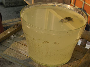 Akdere Projesi Boşamı Çıkıyor?