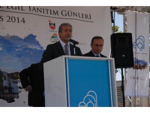 Ölü Sayısı 300’ü Aştı