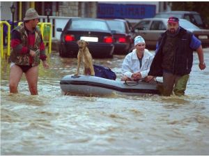 Bosna Hersek Sele Teslim