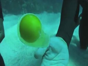 Suyun Metrelerce Altında Yumurta Kırarsanız Ne Olur?