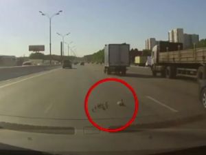 Otobanda Eziliyorlardı‏