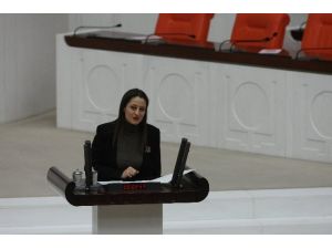 Ab Hükümete Değil Hükümet Ab’ye Engel Oluyor