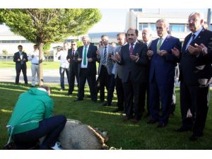 Bursaspor’un Başarılı Olması İçin Kurban Kesilip Dua Edildi