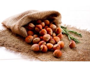 Fındık Satışı Tahminleri Aştı