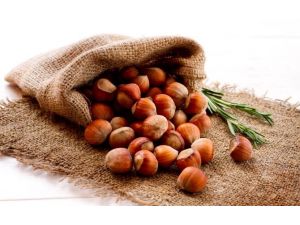 Fındık Satışı Tahminleri Aştı