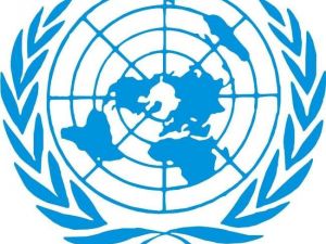 Kaçırılan Bm Müfettişleri Serbest