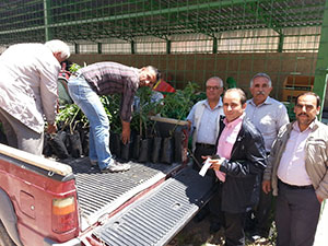 135 Üreticiye 10 Bin Fidan...