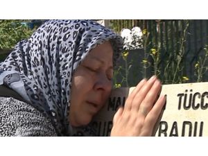 Yarım Asırlık Hasret Sona Erdi