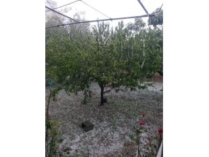 (Özel Haber) Bursada Lüks Araçları Dolu Zararından Kaçırdılar, Tarım Alanları Zarar Gördü