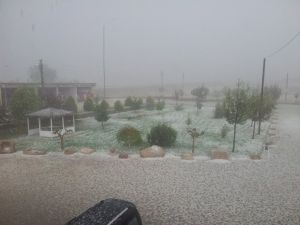 Yozgat’ta Dolu Yozgat’ta 250 Bin Dekar Ekili Alana Zarar Verdi