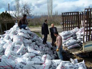 Türkoğlunda Kömür Dağıtımı