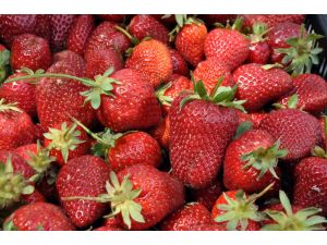 Tütün Tarlaları Vitamin Deposuna Döndü