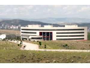 Tib’e Casusluk Baskını
