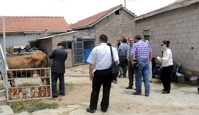 Sığırlarda Çiçek Hastalığına Dikkat