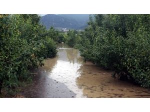 Bursa Ovası Sular Altında