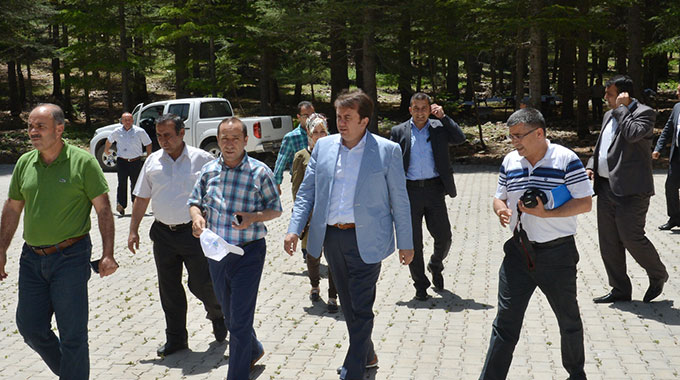 Başkan Erkoç Yavşan Yaylasını İnceledi