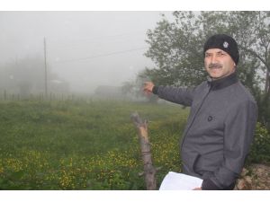 Köyü Önce 2b, Sonra Mera Kanunu Vurdu