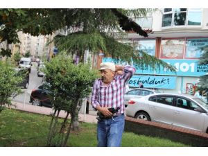 Yavrusunun Acısını İnsanlardan Çıkartıyor