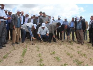 Çiftçiye Destek Turları Açıklandı