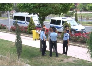 Facia: Kadının Bacakları Koptu
