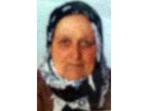 Kayseride Bir Kişi Keneden Öldü