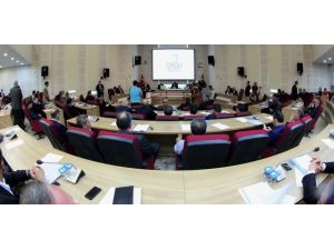 Orduda Çevre Çalıştayı