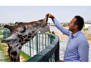 (Özel Haber) Harikalar Diyarını Doğum Heyecanı Sardı