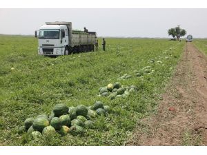 Sağanak Yağış Karpuzcuları Üzdü, Narenciyecileri Güldürdü