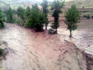 Şiddetli Yağış Sonucu Dereler Taştı