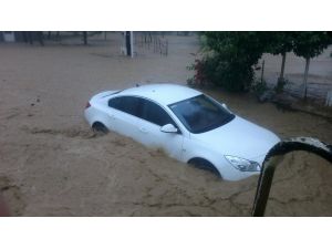 Alaplı’da Derenin Taşması Ve Sel Anı Amatör Kamerada