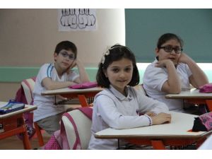 Pidecide Keşfedilen Dahi