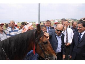 Bakan Fikri Işık’a Yarış Atı Hediye Edildi