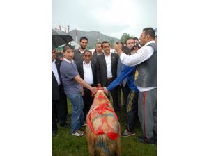 Yağmur Altında Güreş