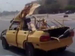 Sürücüler Gözlerine İnanamadı