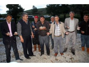 Yozgat’ta Dolu 80 Bin Dekar Ekili Alana Zarar Verdi
