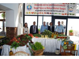 Kiraz İhracatını Yağmur Vurdu