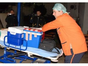 Organ Naklinde Acı Tablo