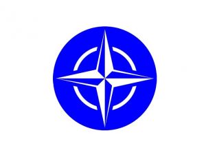 Türkiye Çağrısı Nato’yu Topladı