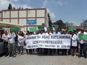 Hastane Bahçesinde Ağaç Protestosu