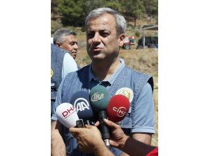 Hatay’da Geçen Yıl Bin 450 Hektar Orman Yandı