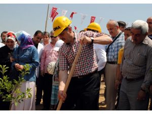 Gaziosmanpaşalılar 301 Madenci İçin 301 Fidan Dikti
