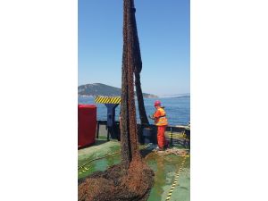 Bakan Eker ’’Deniz Temizleme’’ Çalışmalarına Katıldı