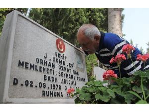 Herkes Evladına Biz Taşlara Sarılıyoruz