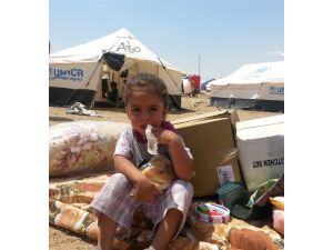 Erbil Sınırına Yerleşiyorlar