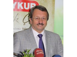 Çaykur 2. Sürgün Çay Alımlarına Başladı