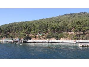 Kartal Belediyesi Büyükada Sosyal Tesisi Sezonu Açtı