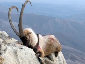 Av Turizminde Rekor Gelir Elde Edilecek