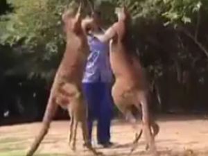 Mahalle Kavgası Gibi