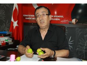 İnegöllü Çiftçinin Yağmur Ve Doludan Zararı 40 Milyon Lira