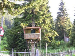 Kuş Değil İnsan Yuvası